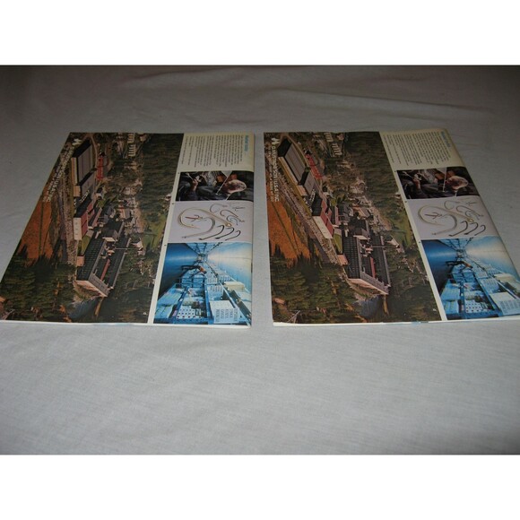 Lot Of 2 Vintage Mustad & Son Fish Hook Catalogs Auburn New York Fishing Hooks - Picture 2 of 3